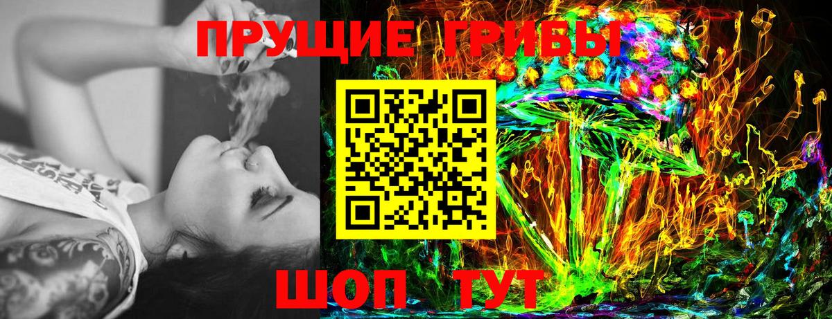 Галлюциногенные грибы Psilocybe  где можно купить наркотик  Вход с VPN  Саратов  Галлюциногенные грибы Psilocybine cubensis 