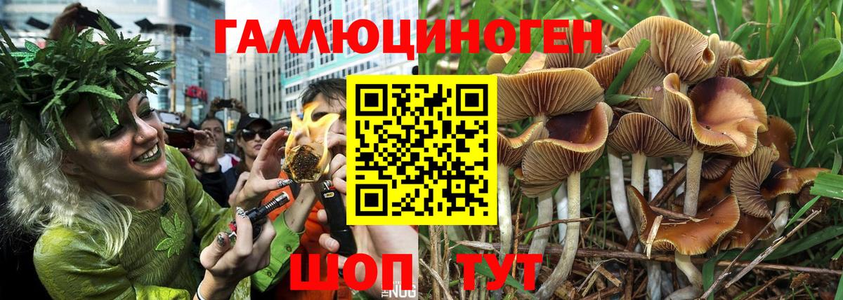 Псилоцибиновые грибы мухоморы Саратов